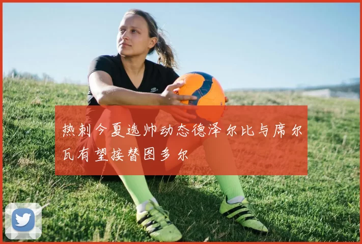热刺今夏选帅动态德泽尔比与席尔瓦有望接替图多尔